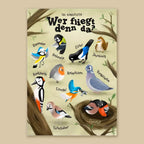 Interaktives Rubbelposter "Wer fliegt denn da?" - Einheimische Vögel - DIN A3