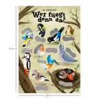 Interaktives Rubbelposter "Wer fliegt denn da?" - Einheimische Vögel - DIN A3