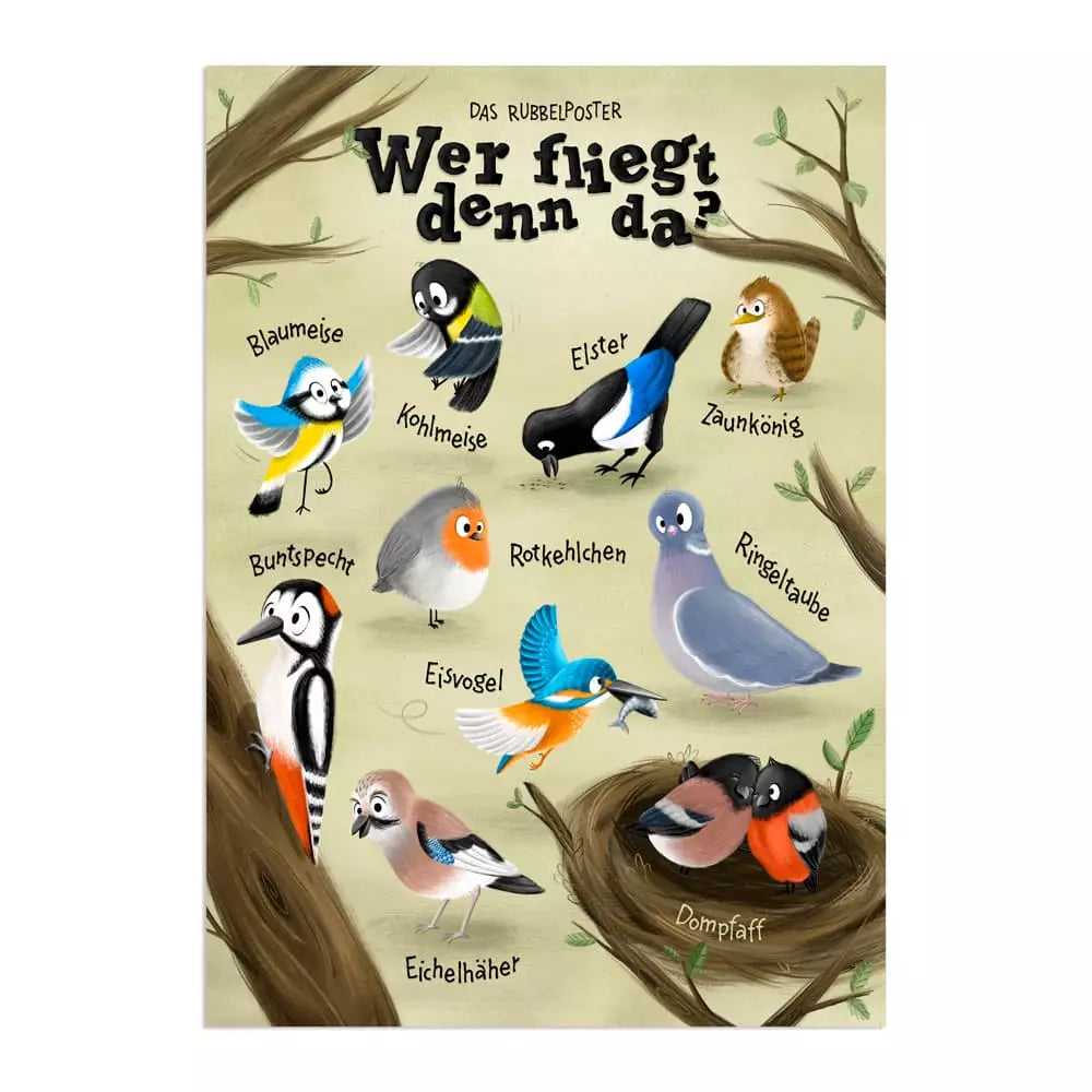 Interaktives Rubbelposter "Wer fliegt denn da?" - Einheimische Vögel - DIN A3
